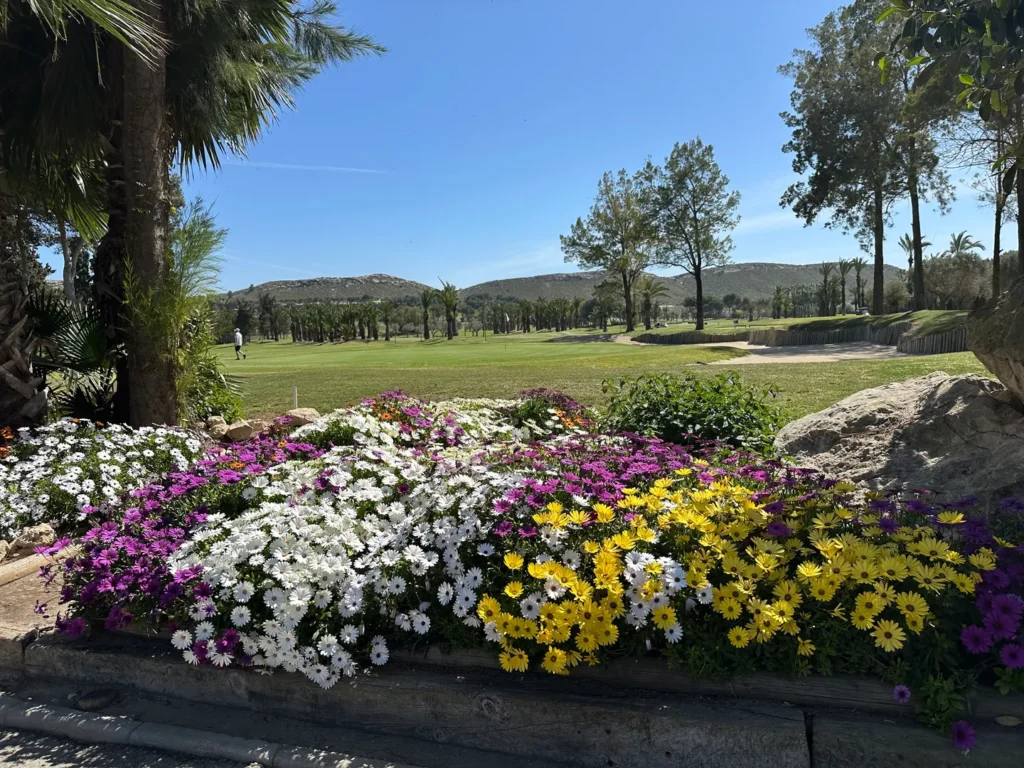 Vy över Club de Golf El Plantío med blommor och greener